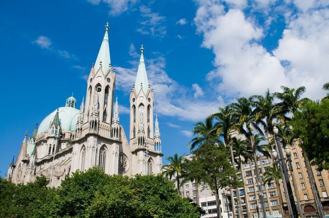 3H CITY TOUR (pick up / delivery within Sao Paulo city limits) - A Three-Hour Introduction to São Paulo