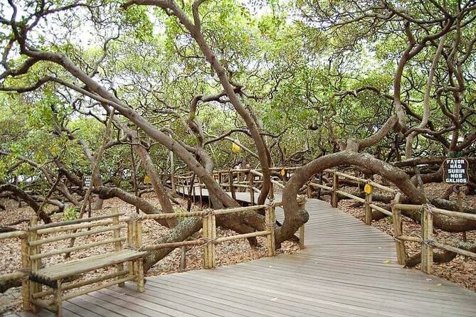4x4 tour on the South Coast of Natal - Why this 8 to 10 hour South Coast trip works