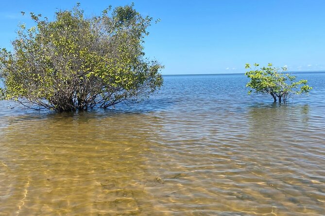 8day expedition of scenic beauty and Amazon traditional culture on Tapajós River - Key points to know before booking