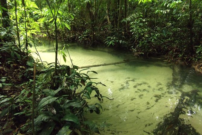 Alter do Chão FLONA Jamaraquá Tour - Lakes, beaches, and the first stops south of Alter do Chão