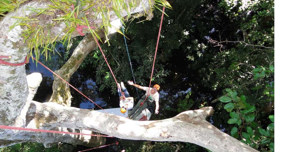 Amazon Jungle 3-Hour Tree Climbing Activity - Starting with the transfer and safety briefing