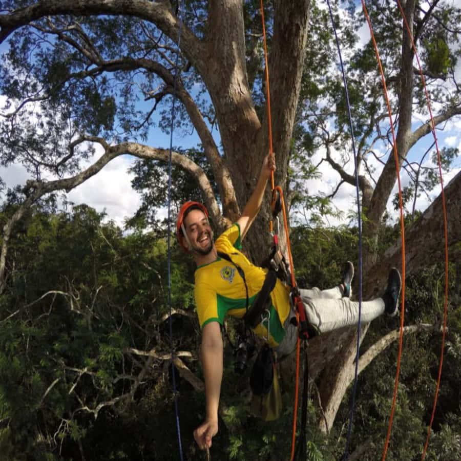 Amazon Jungle 3-Hour Tree Climbing Activity - The reward: wind, light, and rainforest views