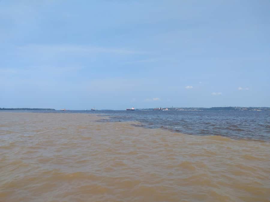 Amazon Safari® Manaus: Day trip on the Amazon River - What this Manaus river day is really like