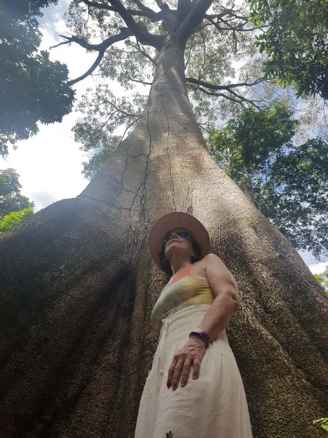 Amazon Safari® Manaus: Day trip on the Amazon River - Swimming with pink river dolphins
