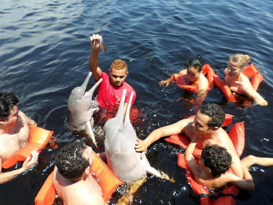 Amazon Safari® Manaus: Day trip on the Amazon River - Seeing the Negro and Solimões Rivers meet
