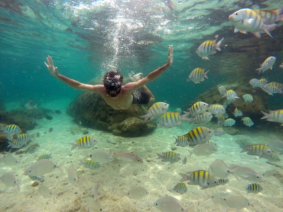 Angra dos Reis and Ilha Grande: Small-Group Fast-Boat Tour - Who should book this Ilha Grande day trip