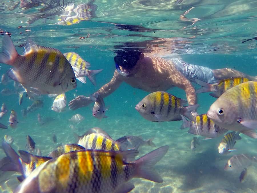 Angra dos Reis and Ilha Grande: Small-Group Fast-Boat Tour - Cataguases and Botinas Islands