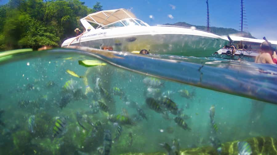 Angra dos Reis: Super Lagoa Azul Speedboat Tour - Who should book this Angra speedboat tour?
