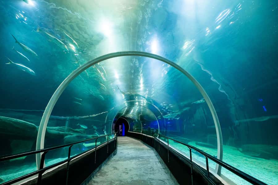 AquaRio and Olympic Boulevard Small Group Tour - FAQ