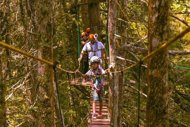 Arborismo in Horto Florestal - Campos Do Jordão - Key points to know before booking