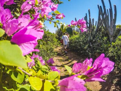 Armação dos Búzios: Walk Through the Natural Pools in Búzios