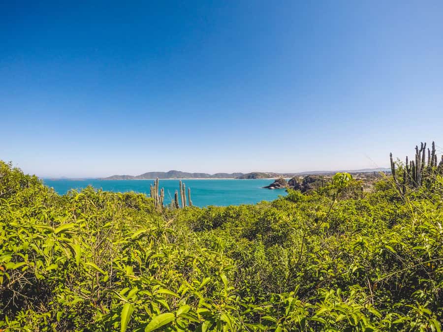 Armação dos Búzios: Walk Through the Natural Pools in Búzios - Praia dos Amores, shade, fish, and an optional extension