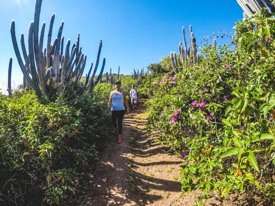 Armação dos Búzios: Walk Through the Natural Pools in Búzios - Pickup, languages, and timing