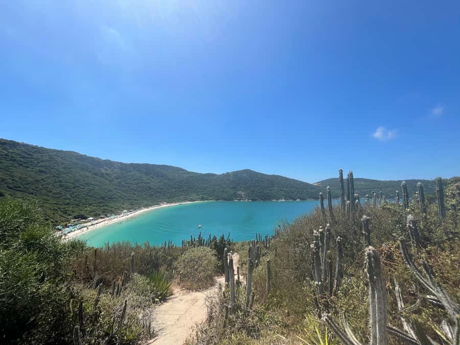 Arraial do Cabo: Boat Trip with Waterslide - Swimming and snorkeling at Praia do Forno