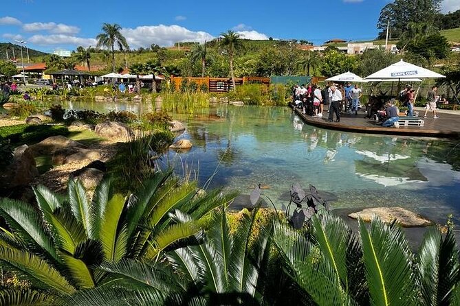 Art Of Wine – Travel Through The So-Called Wine Route Visiting Various Wineries - Three hours to eat at a winery