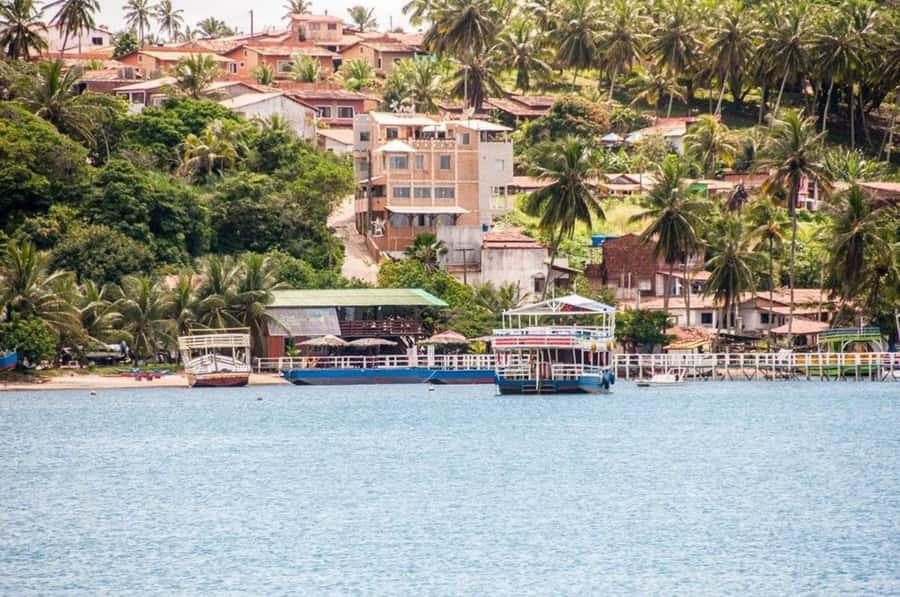 Barra do Cunhaú Full-Day Trip from Natal - Who will enjoy this Barra do Cunhaú day?
