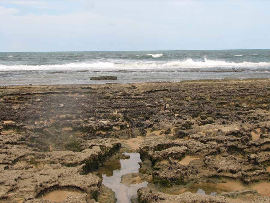 Barra do Cunhaú Full-Day Trip from Natal - Why the river makes this day trip worthwhile