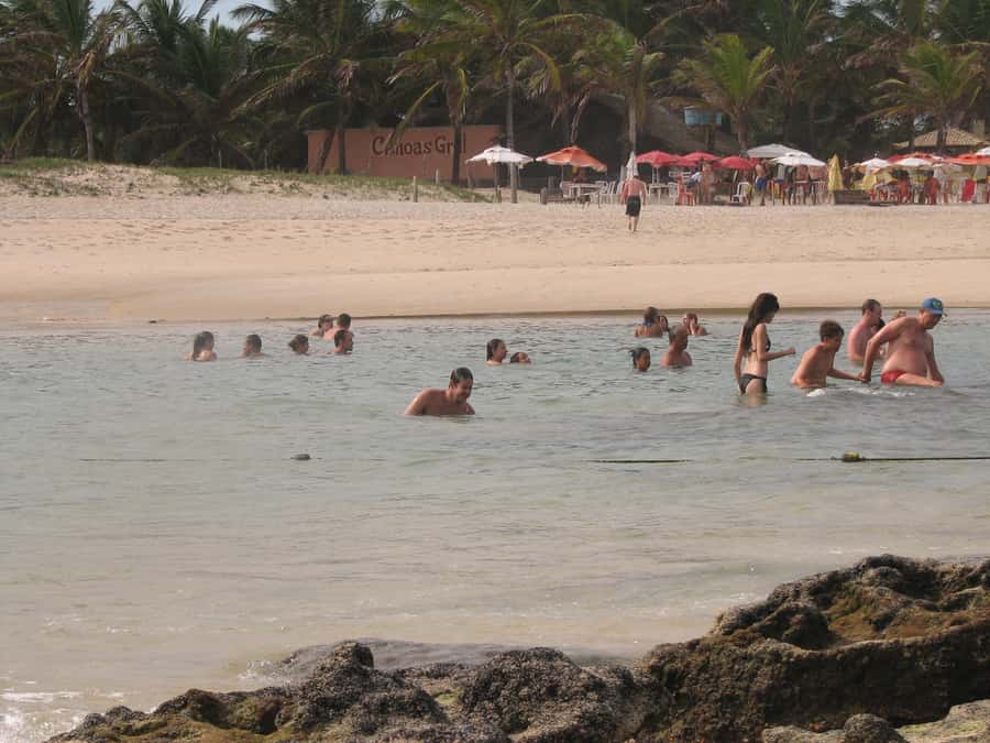 Barra do Cunhaú Full-Day Trip from Natal - Cunhaú Beach, natural pools, and warm water