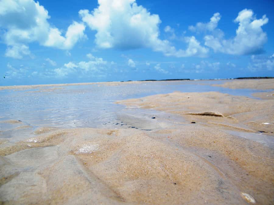 Barra do Cunhaú Full-Day Trip from Natal - The catamaran through mangrove channels