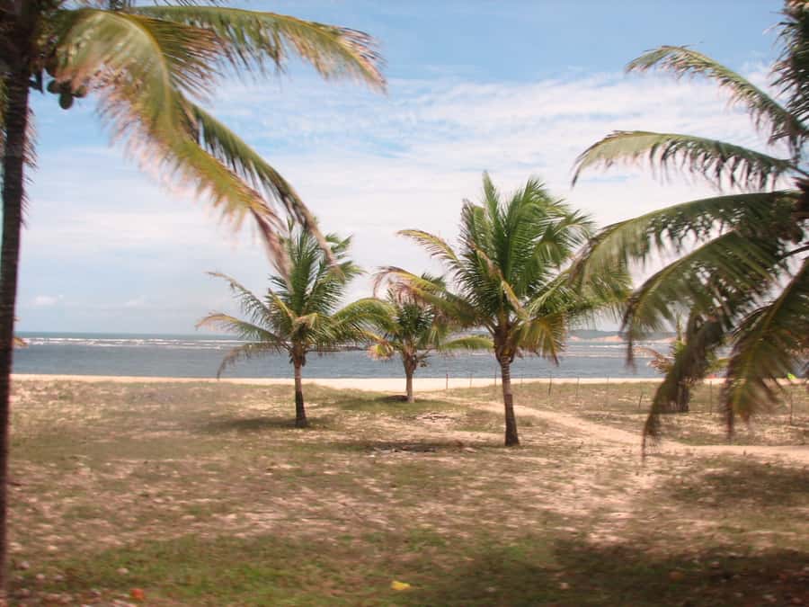 Barra do Cunhaú Full-Day Trip from Natal - The 90-kilometer drive from Natal