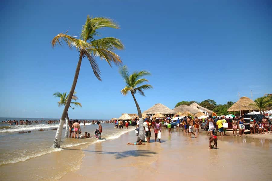 Belém: 2, 3 or 4-Day Marajó Island Excursion with Lodging - The 2-day plan: a quick introduction to Soure