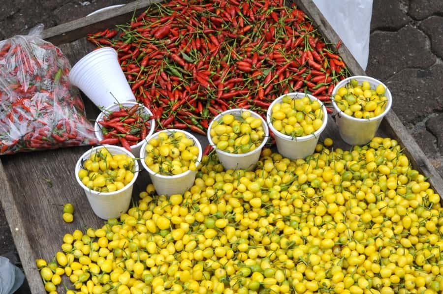 Belém: Half-Day City Tour with Ver-o-Peso Market Visit - Key points to know before booking