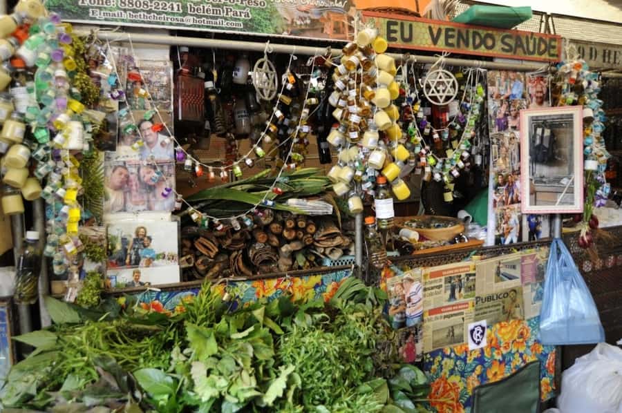 Belém: Half-Day City Tour with Ver-o-Peso Market Visit - Why this tour is a good first look at Belém