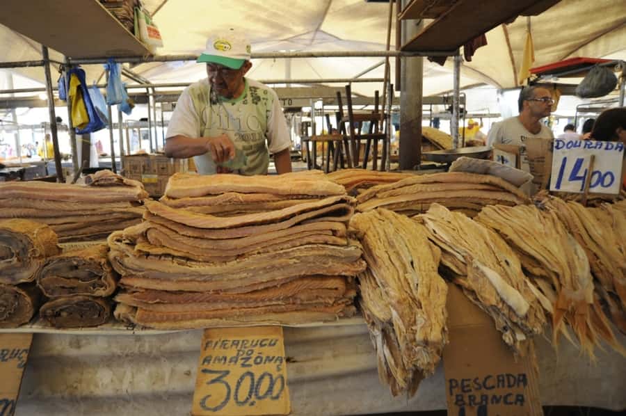 Belém: Half-Day City Tour with Ver-o-Peso Market Visit - Castelo Fortress and the Feliz Lusitânia complex