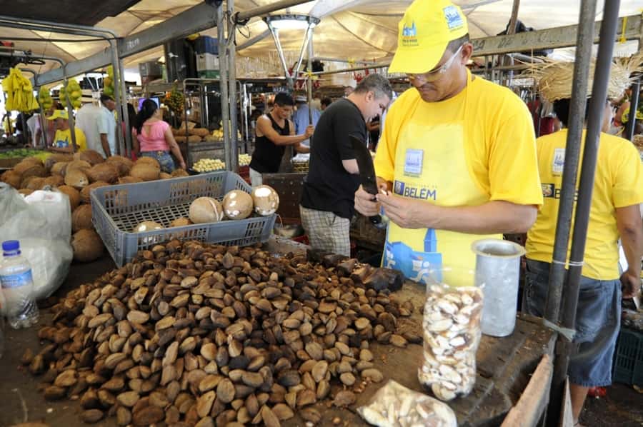 Belém: Half-Day City Tour with Ver-o-Peso Market Visit - Emilio Goeldi Museum and the Tuesday change