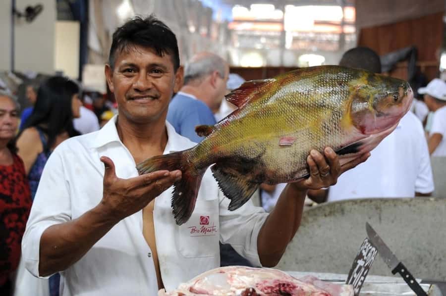 Belém: Half-Day City Tour with Ver-o-Peso Market Visit - Ver-o-Peso Market and the sounds of daily Belém
