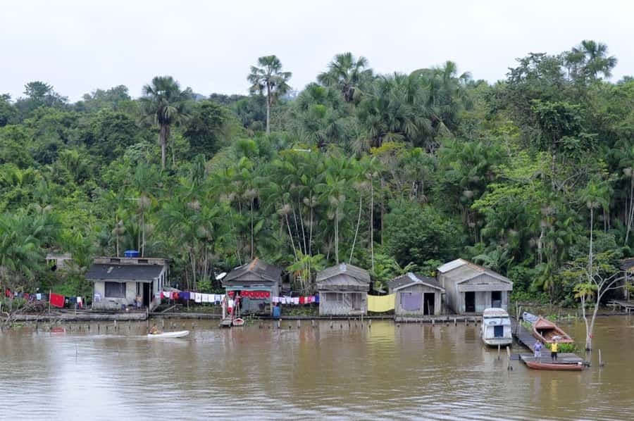 Belém: Half-Day Furos Boat Tour & Riverside Community Visit - Guides, Language, and the Human Side of the Tour
