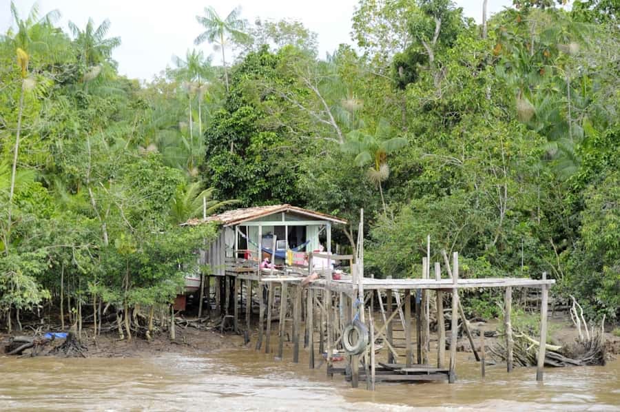Belém: Half-Day Furos Boat Tour & Riverside Community Visit - What Makes Furo do Benedito and Furo da Paciência Special