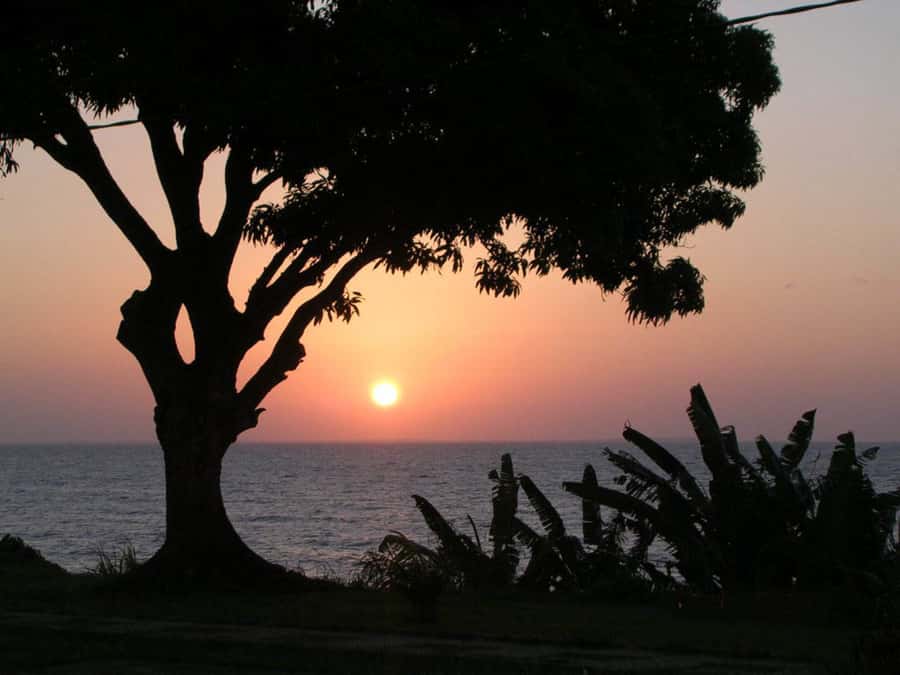 Belém: Ilha do Mosqueiro River Beach Trip - Who will enjoy this river beach day?