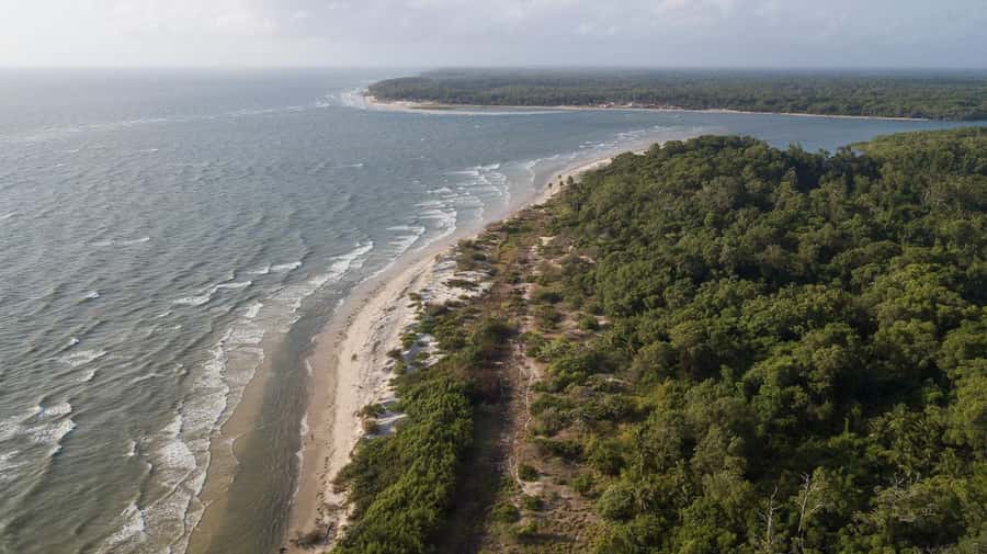 Belém: Marajó Island Day Trip with Buffalo Farm Visit - Choosing Salvaterra, the açaí and Grande Beach route