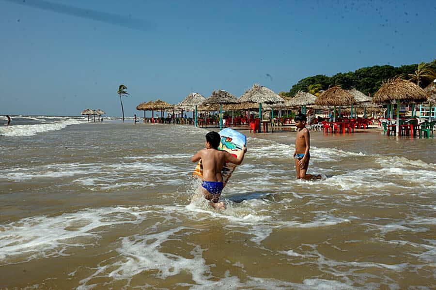 Belém: Marajó Island Day Trip with Buffalo Farm Visit - What the buffalo stop really adds