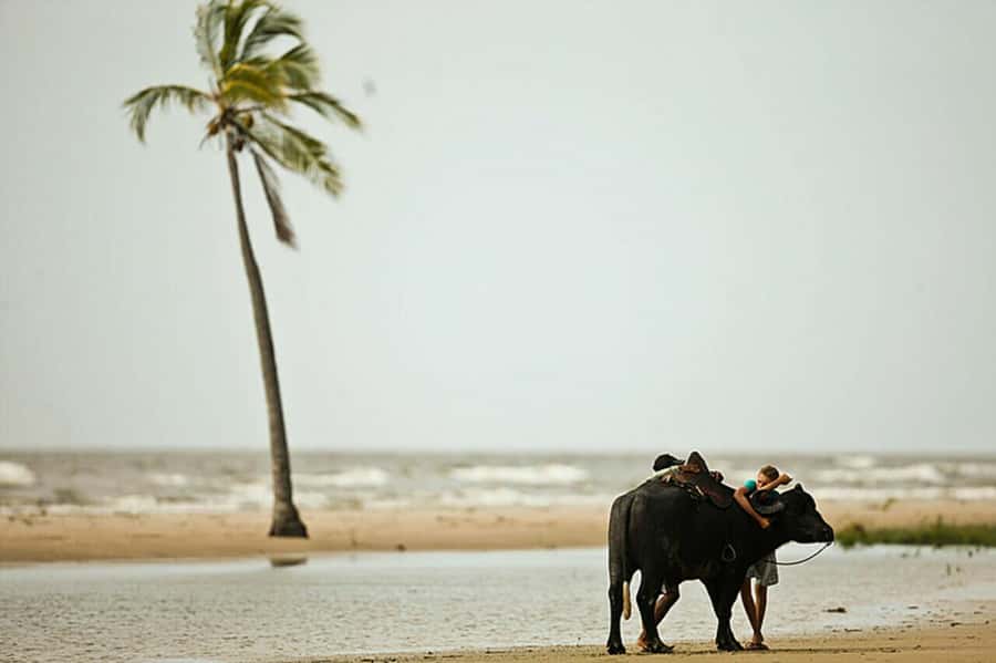 Belém: Marajó Island Day Trip with Buffalo Farm Visit - Choosing Souré, the craft and beach route
