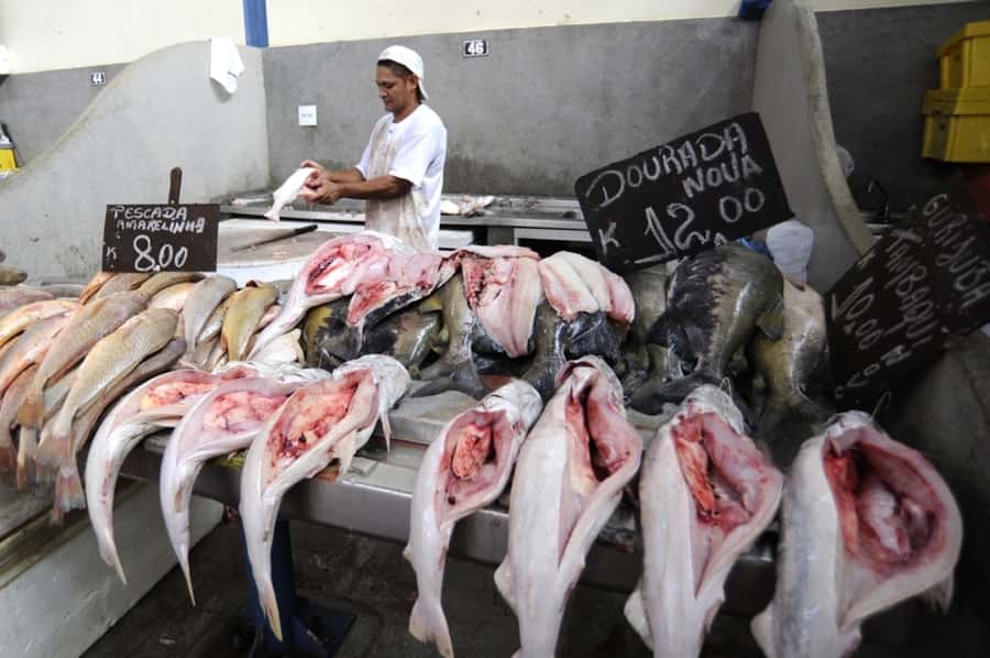 Belém: Ver-o-Peso Market and Full-Day City Tour with Lunch - Why this Belém day tour works
