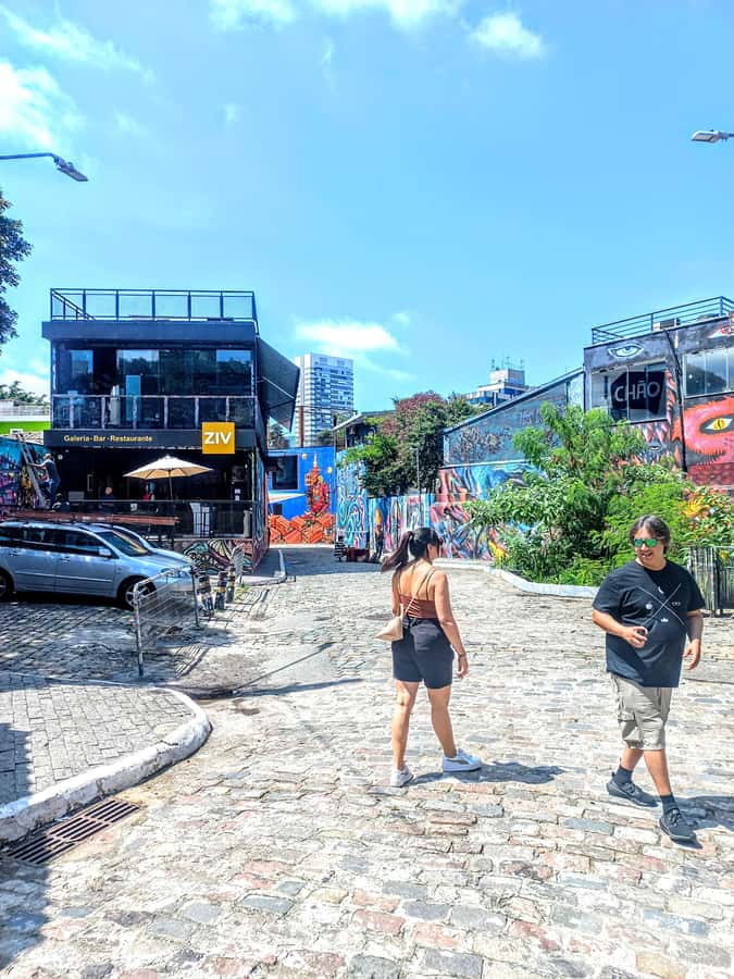 Best São Paulo City Tour History 5Hours Private Experience. - Ibirapuera Park brings a change of pace