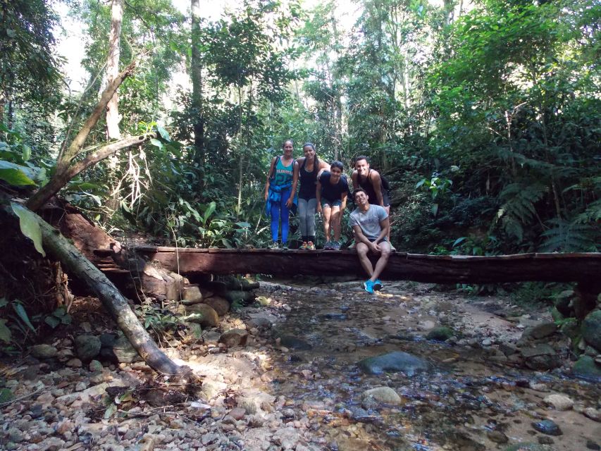 Bico do Papagaio Guided Hiking Tour in the Tijuca Forest - A museum stop that adds context