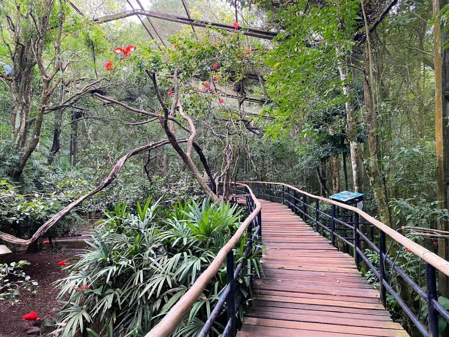 Brazilian Falls, Bird Park and Itaipu Dam - What to bring and how to prepare