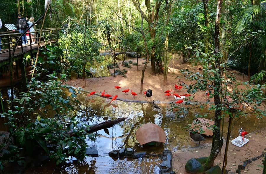 Brazilian Falls, Bird Park and Itaipu Dam - Entering Iguassu National Park on the Brazilian side