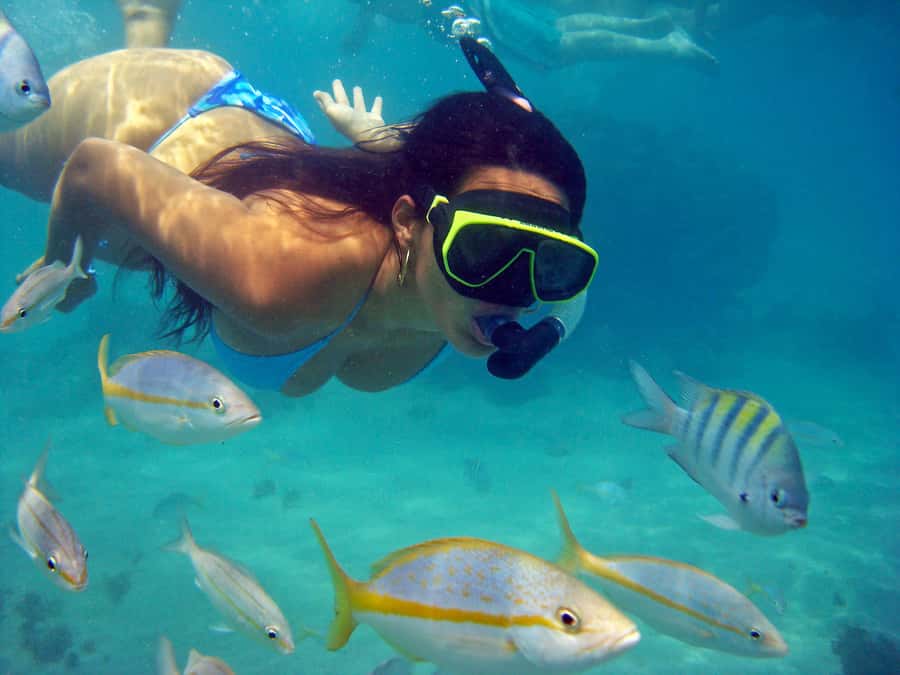 Búzios Day Trip from Rio de Janeiro - Key points to know before booking