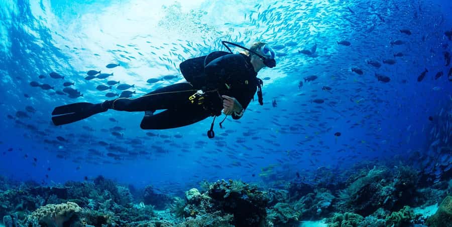 Buzios - DIVING EXPERIENCE - Meeting the fish and coral at Arrecife