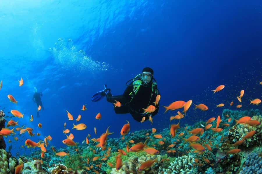 Buzios - DIVING EXPERIENCE - The 1.5-hour lesson and water practice