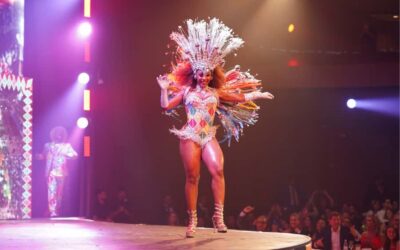 By Night Tour: Roxy Dinner Show & Transfer