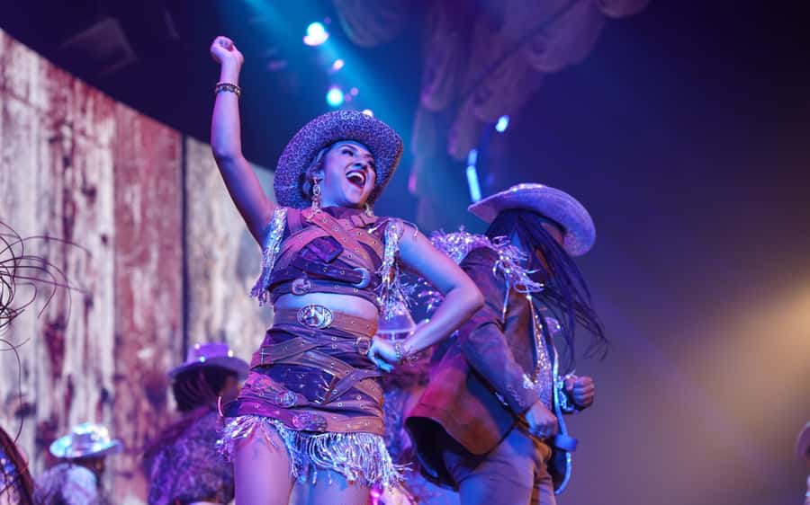 By Night Tour: Roxy Dinner Show & Transfer - Who will enjoy the Roxy most?