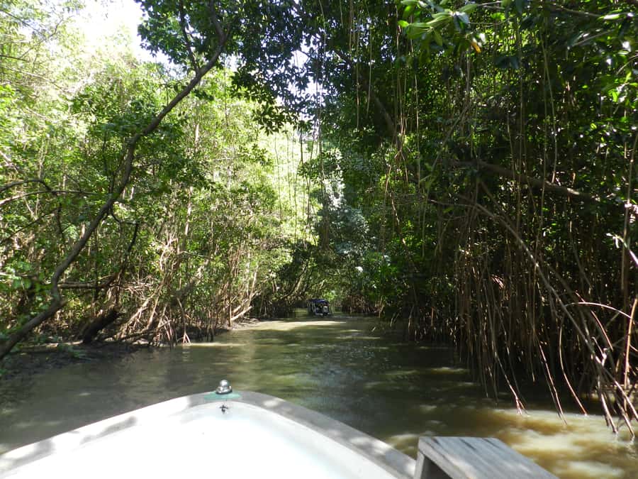 Caburé - Boat tour on the Rio Preguiças - Why this seven-hour boat ride is worth considering