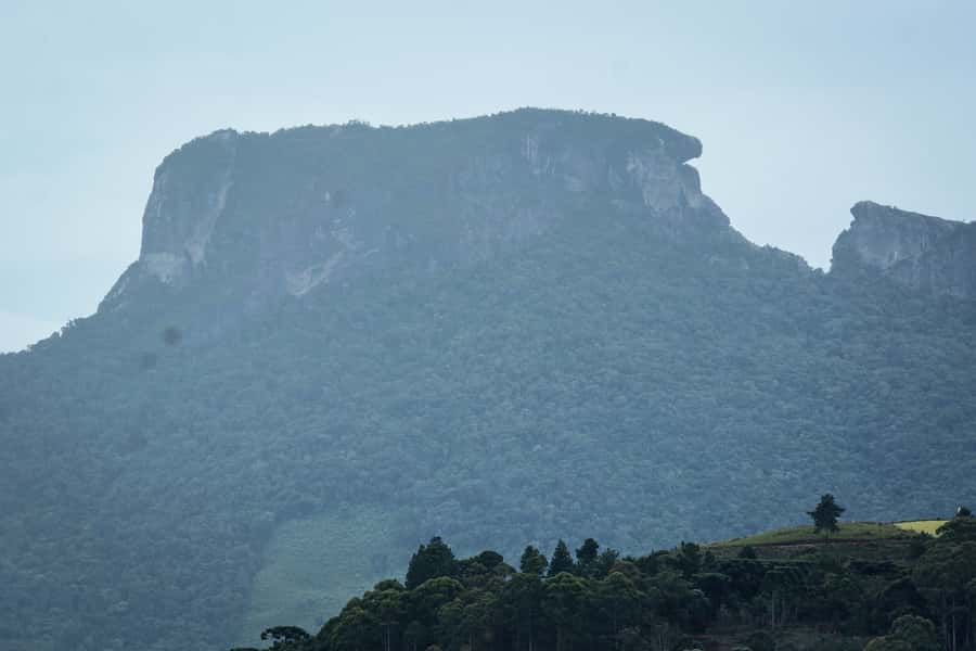 Campos do Jordão: Full-Day Private Tour from São Paulo - What the private format is worth