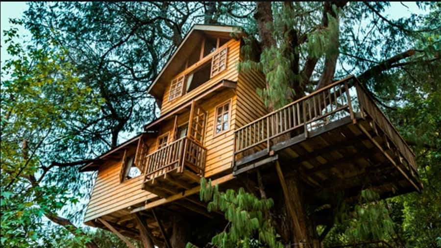 Campos do Jordão: Private 8 Hour Tour - Is an eight-hour private trip enough?
