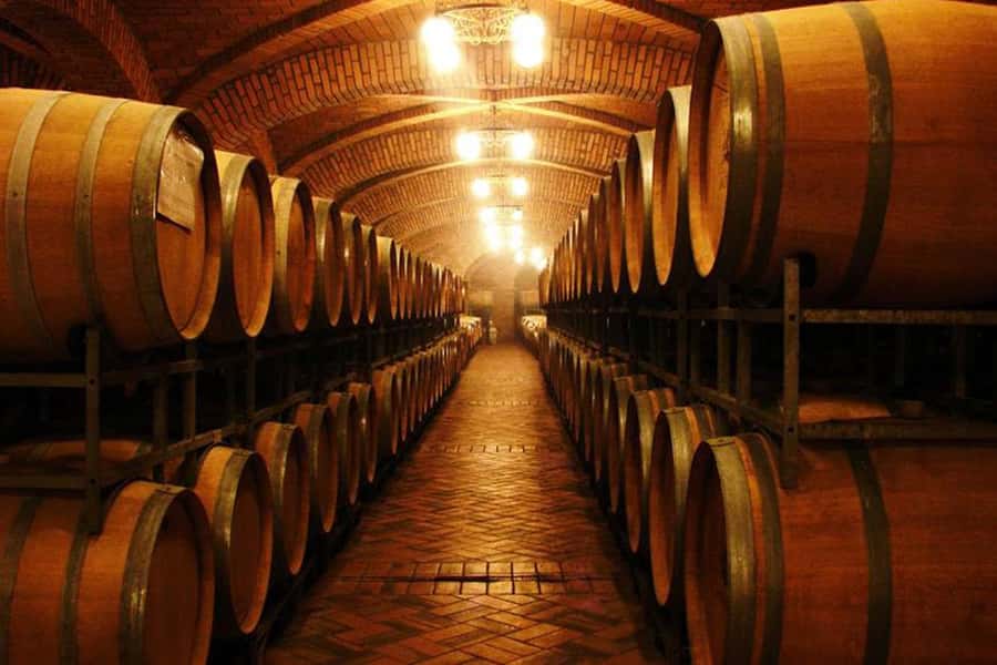 Canela/Gramado: South Wineries, Wine Train, & Italian Park - Vineyards, Italian roots, and the making of Brazilian wine